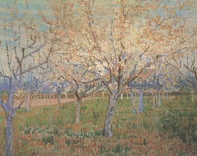 Vincent Van Gogh Orchard with Blossoming Apricot Trees (nn04)_ china oil painting image